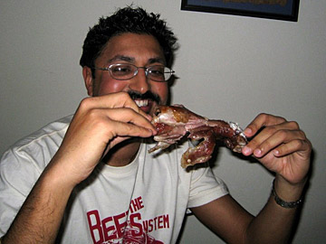 Man bites lamb