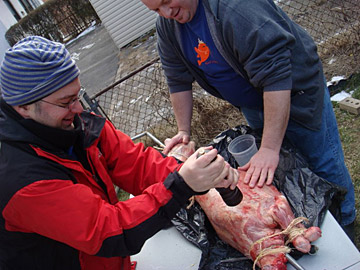Peter and Karl apply a loving rubdown to a lamb carcass