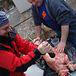 Peter and Karl apply a loving rubdown to a lamb carcass